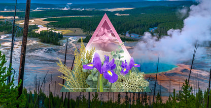 Yellowstone Fragrance Oil